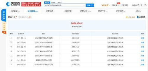 锤子科技关联公司再成被执行人，面临58万执行标的